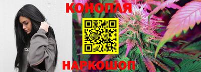 гашик Туймазы